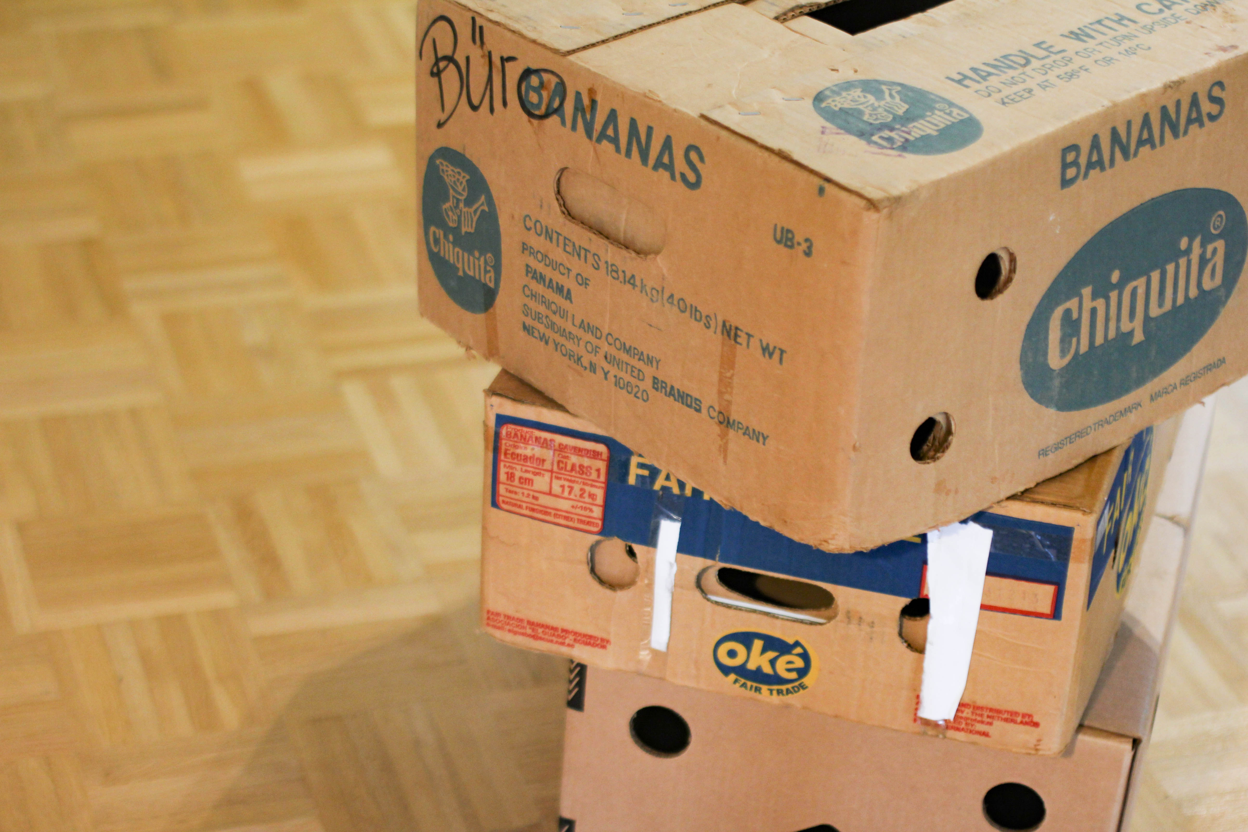 Flügge werden: Vom Freiheitsgefühl beim Auszug