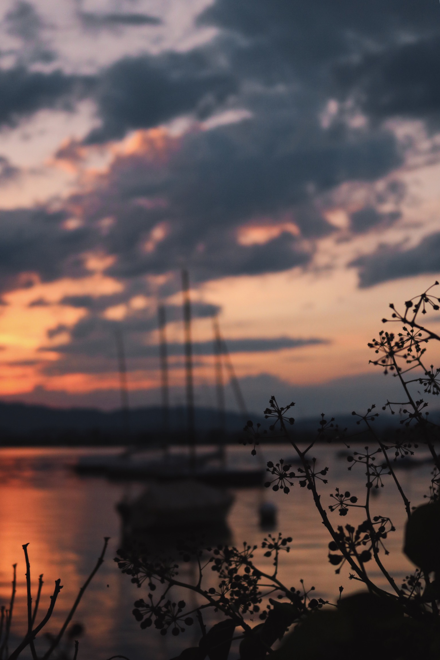 Morgenröte im Umfeld des Todes