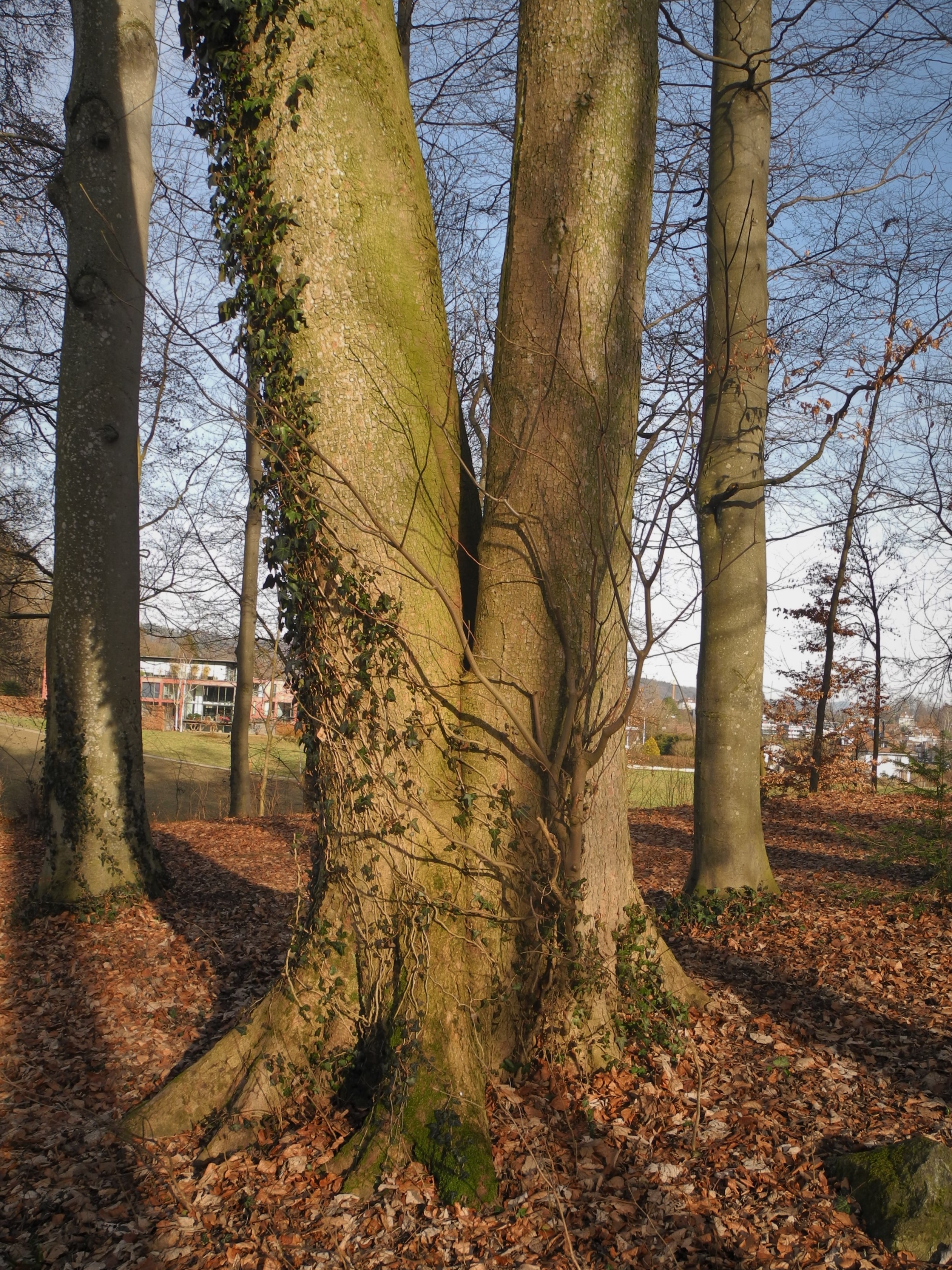 Heirat und Scheidung – wie entscheiden?