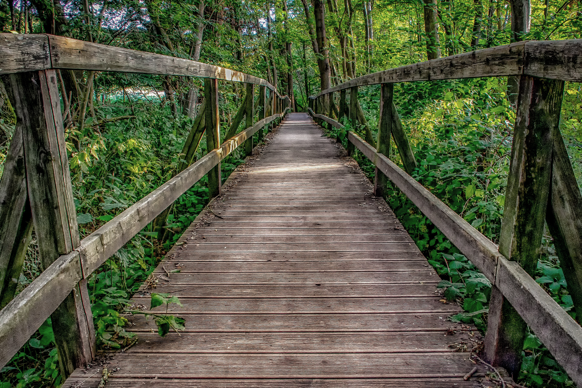 Mit Dialog gegen die Spaltung