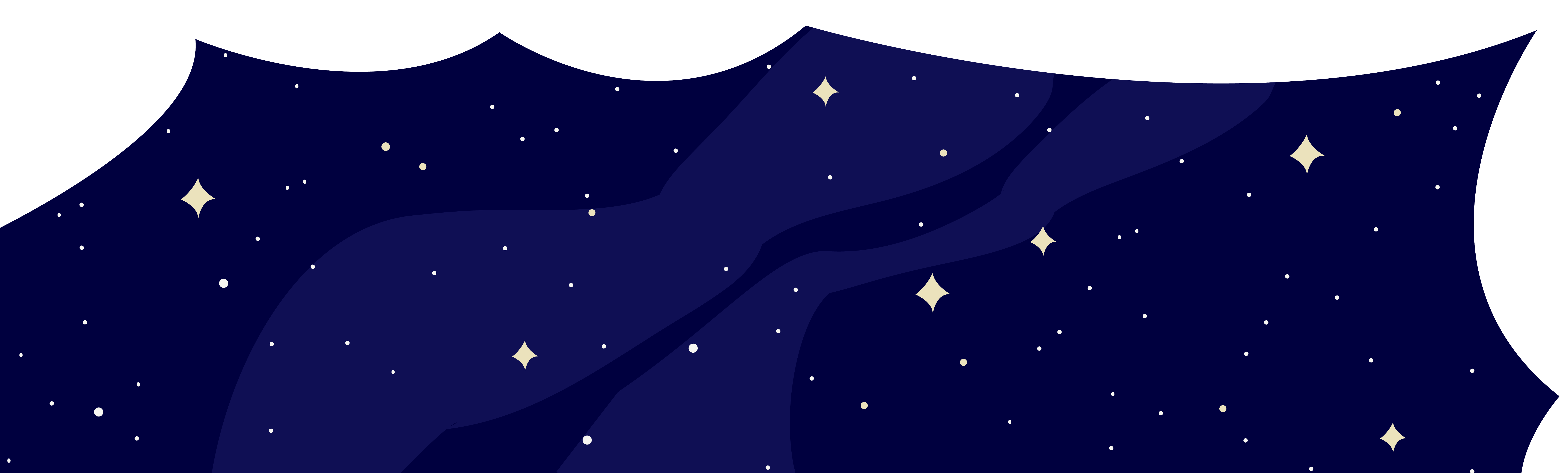 Mit der Schildkröte ins Weltall